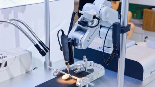 硬核科技企業(yè)為何紛紛落地上海生物科技研發(fā)高地？