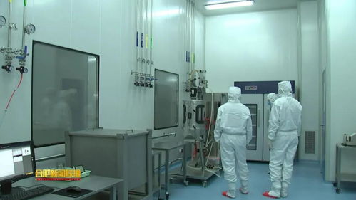 安科生物 以研發(fā)為翼，驅(qū)動創(chuàng)新未來的安徽生物科技領(lǐng)軍者